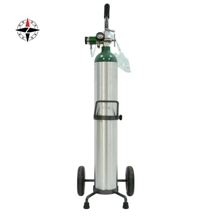 Oxygen cylinder system size E with cart